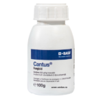 Cantus 100G